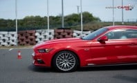 Pszczółki